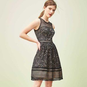 Eliza J Lace Fit & Flare Black Crochet Dress.  SZ 14